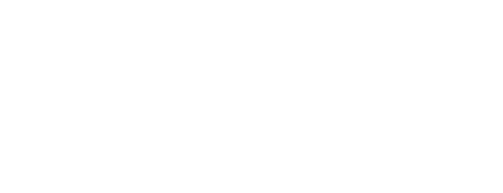 Vision Motors